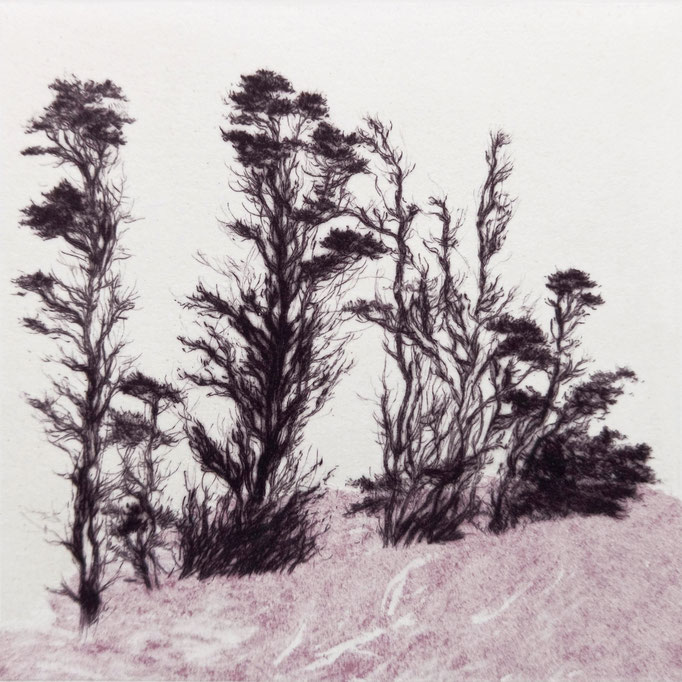 Arbres, 2020-21