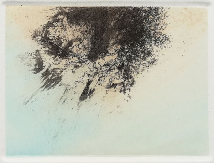 microcosme 5 - fleur de soufre, marbrure, eau forte et pointe sèche - 10 x 7,5 cm -  imprimé sur papier 30 x 30 cm - 2019