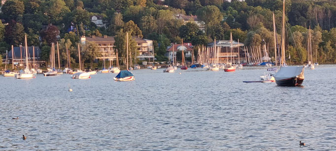 Ammersee