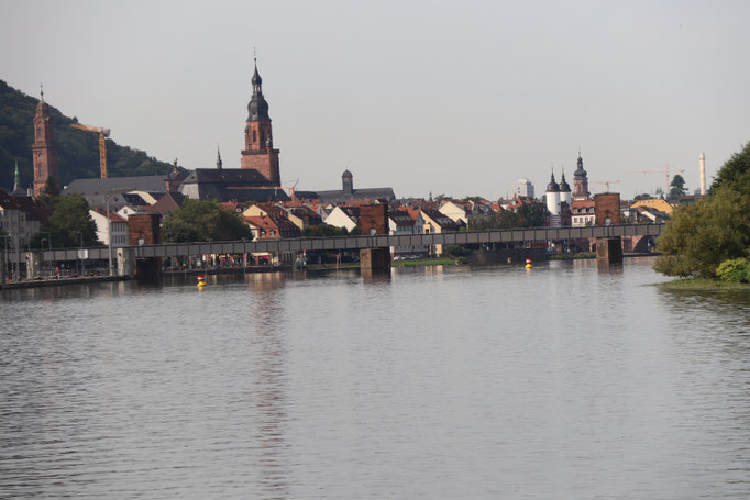 Fahrt mit dem Schiff nach Heidelberg
