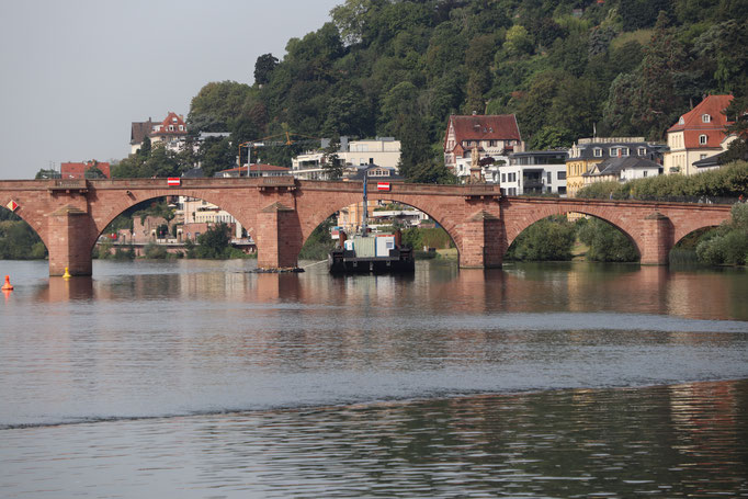 Fahrt mit dem Schiff nach Heidelberg