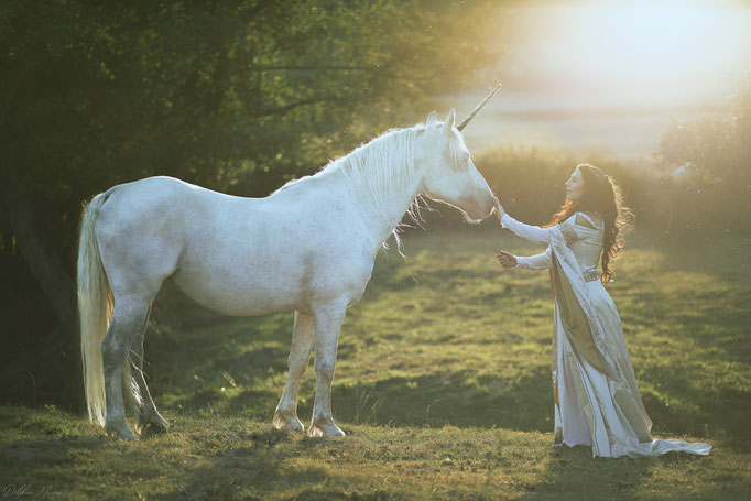 la dame à la licorne