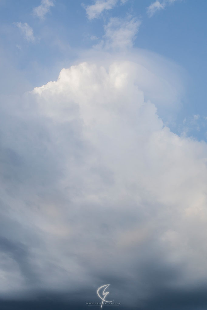 Cumulus avec en son sommet, l'apparition d'un pileus témoignant d'un signe humidité à cette altitude.