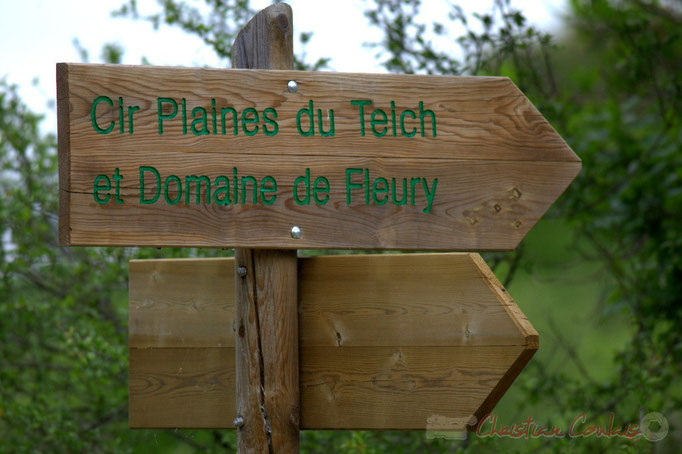 Boucle de randonnée pédestre "Plaines du Teich et Domaine de Fleury"