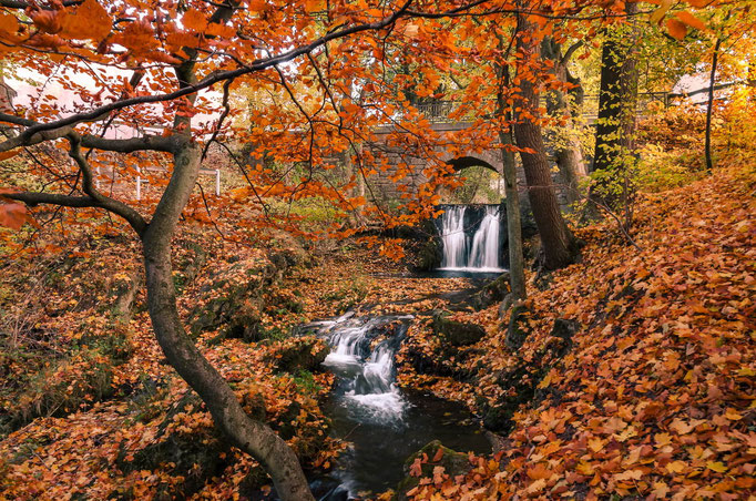 Wasserfall Großbartloff im Eichsfeld (Herbst 2021)