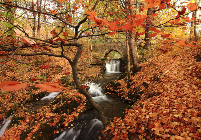 Wasserfall Großbartloff