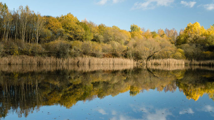 Pontelteich in Ellrich