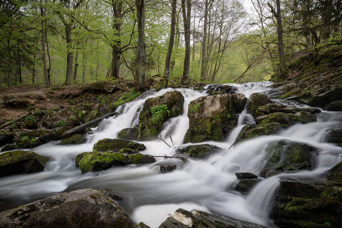 Selkefall bei Alexisbad