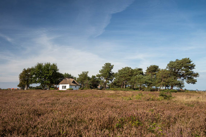 Hiddensee