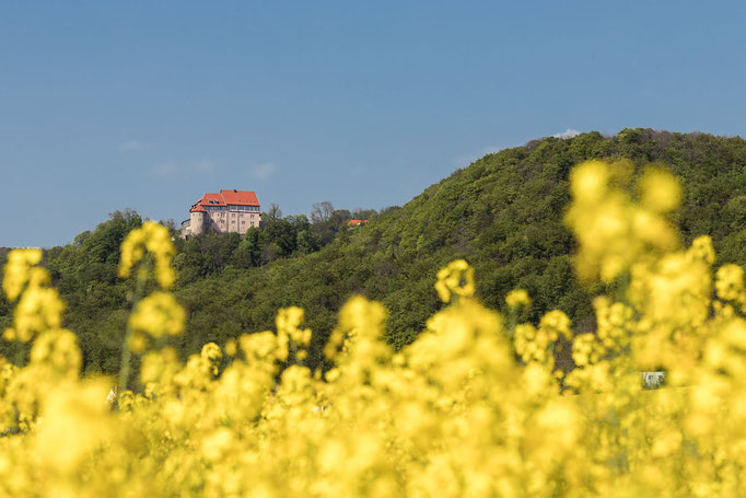 Burg Bodenstein im Eichsfeld