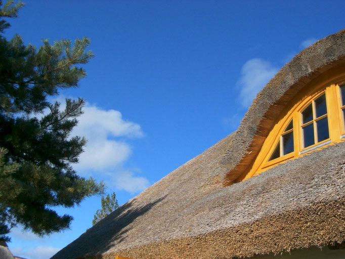 fischerhaus gaube, himmel, kiefer 