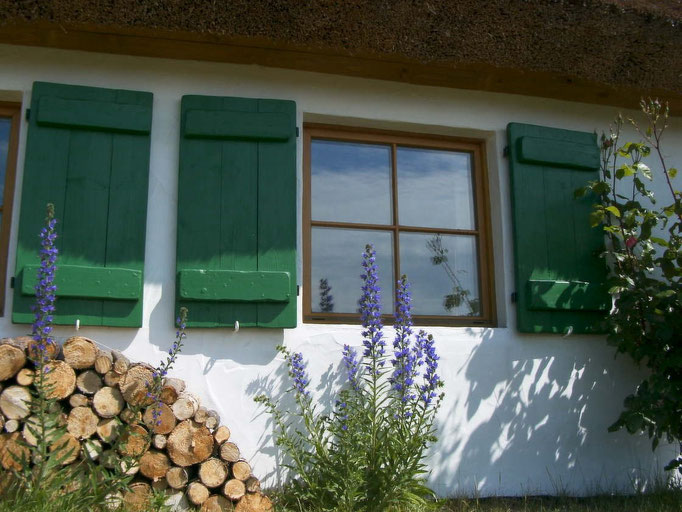 fischerhaus fenster, holzstapel, pflanze