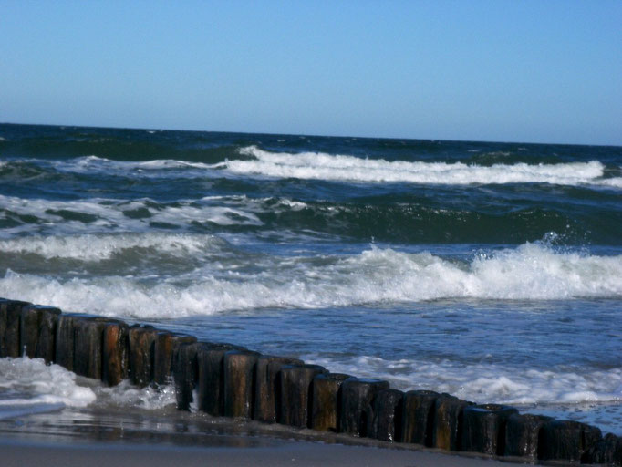 buhnen & meer vor neuendorf