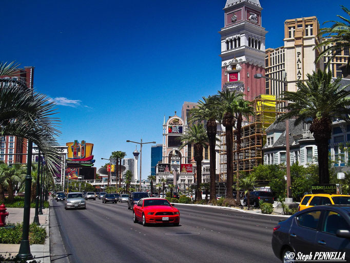 Strip of Las Vegas "Mustang"
