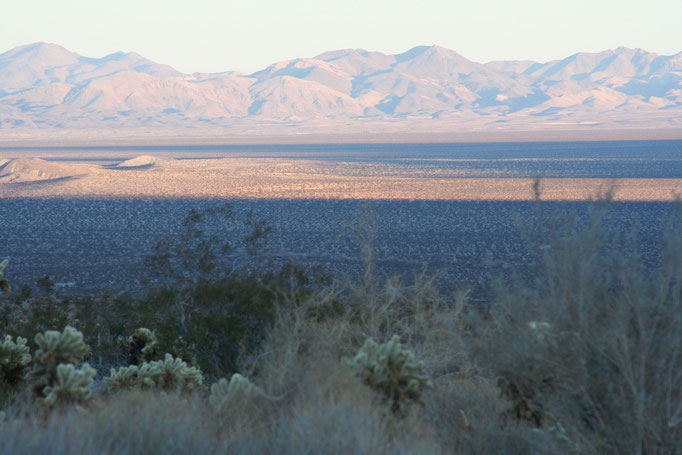 Josua Tree National Park USA