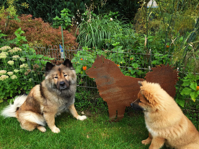 Yuna und Raya mit den Eurasier-Kumpel aus Stahl