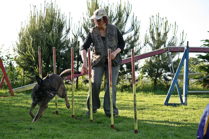 Hundeschule DreamTeam Plauch-Agility 