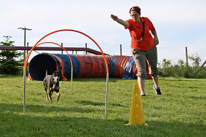 Hundeschule DreamTeam NADAC Hoopers Agility HoopAgi