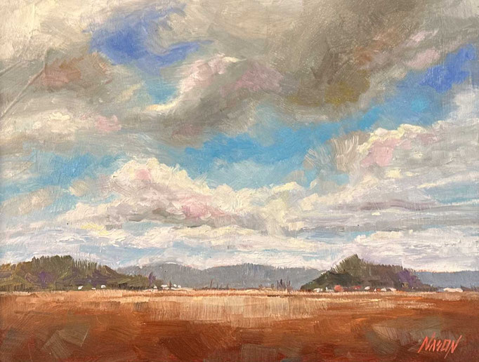 "Skagit Valley" • Oil on board • 11" x 14"