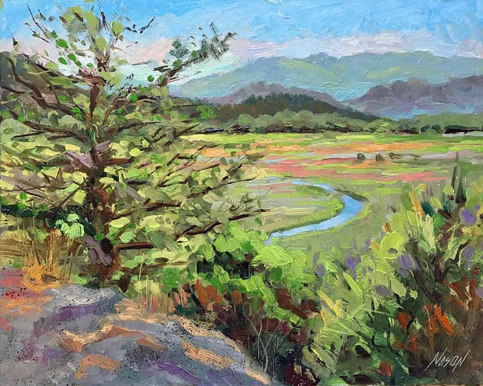 "Craft Island Vista" • Oil on board • 11" x 14"