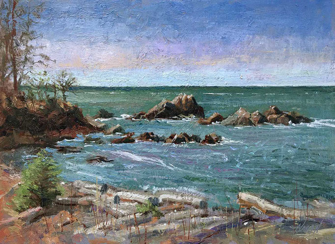 "Rosario Beach" • Oil on board • 12" x 16"