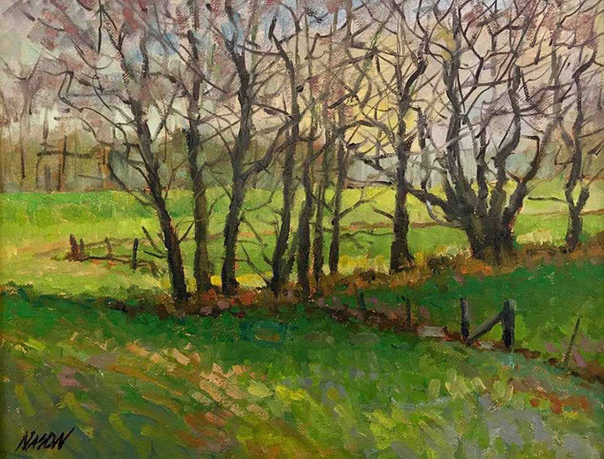 "Wild Woods" • Oil on board • 11" x 14"