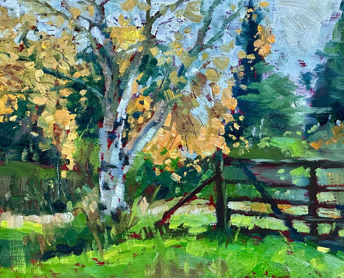 "Birch in Early Light" • Oil on board • 8" x 10"