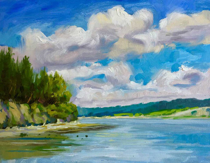 "Camano Shoreline" • Oil on board • 11"x 14"