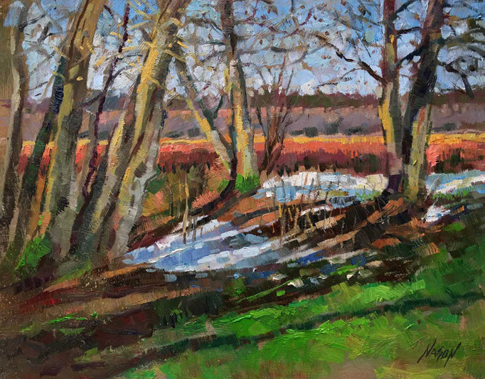 "Tree Tangle" • Oil on board • 11" x 14"
