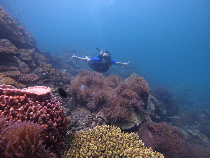 Scuba Diver enjoying some of Phu Quoc corals and marine life | Rainbow Divers Vietnam PADI Dive Center Phu Quoc 