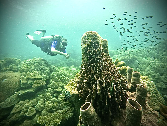 Scuba Diver enjoying some of Phu Quoc corals and marine life | Rainbow Divers Vietnam PADI Dive Center Phu Quoc 