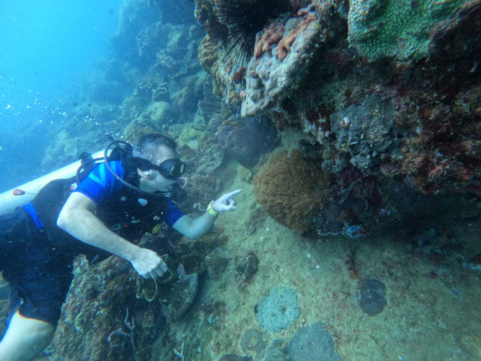 Scuba Diver posing underwater in  Phu Quoc surrounded by corals and marine life | Rainbow Divers Vietnam PADI Dive Center Phu Quoc 