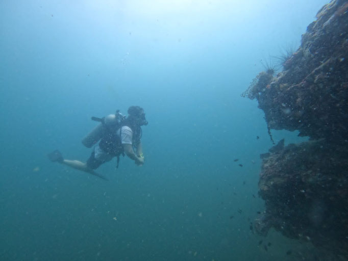 Scuba Diver enjoying some of Phu Quoc corals and marine life | Rainbow Divers Vietnam PADI Dive Center Phu Quoc 