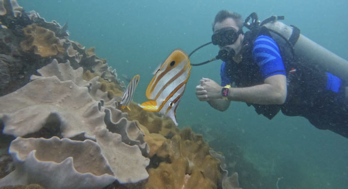 Scuba Diver enjoying some of Phu Quoc corals and marine life | Rainbow Divers Vietnam PADI Dive Center Phu Quoc 
