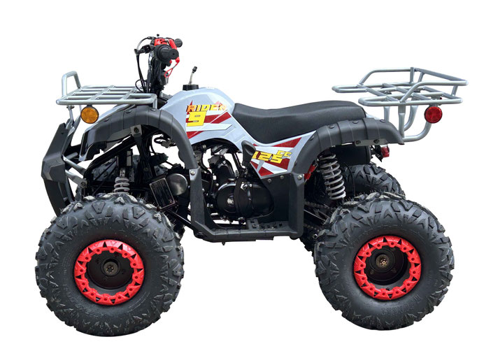 RIDER 9 - 125CC - AUTO WITH REVERSE - vitacci