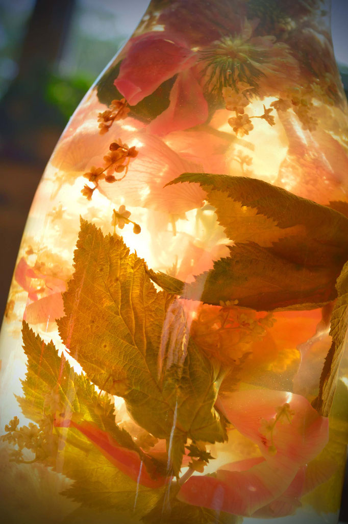 Sommersonnenwend-Wein mit Kräutern und Blüten