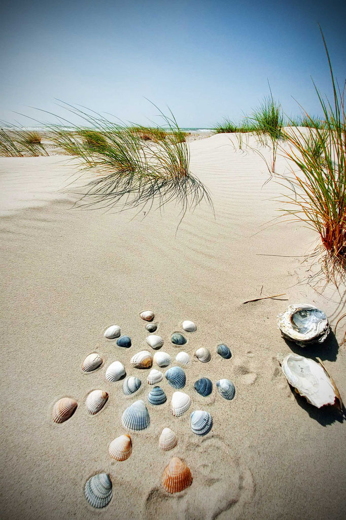 Amrum 2025, Strandkunst