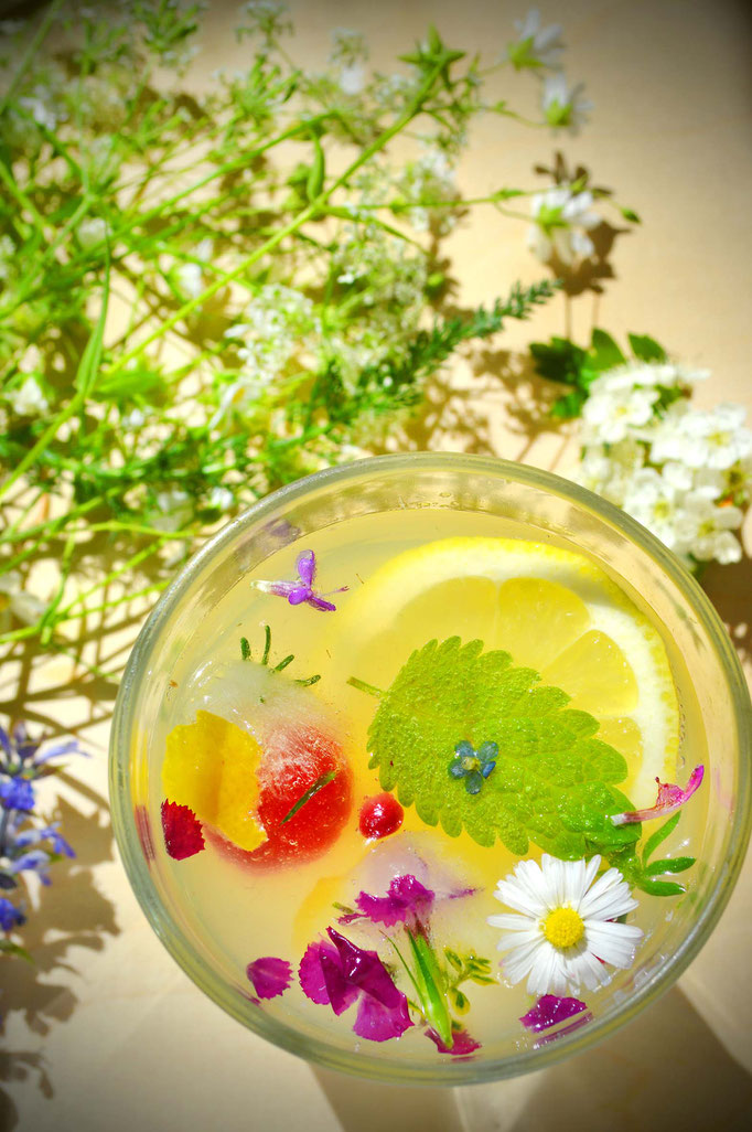 Wildkräuterlimonade