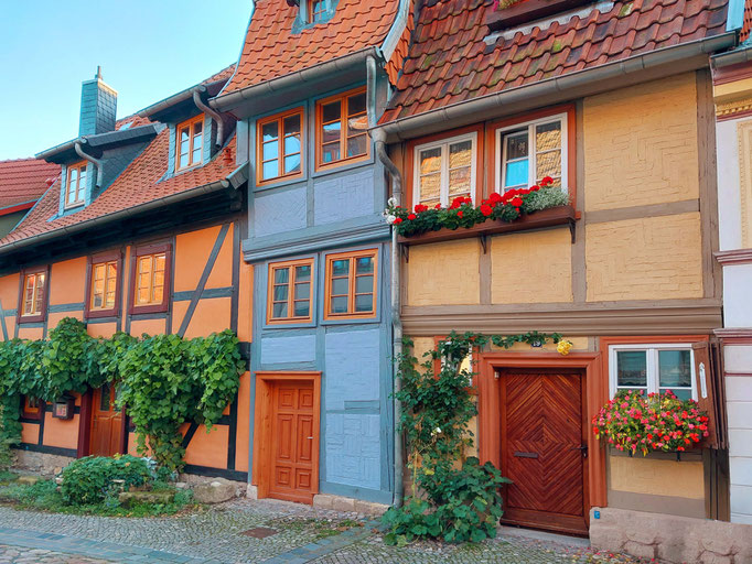 Harz_Quedlinburg_Wernigerode_Teufelsmauer bei Neinstedt2