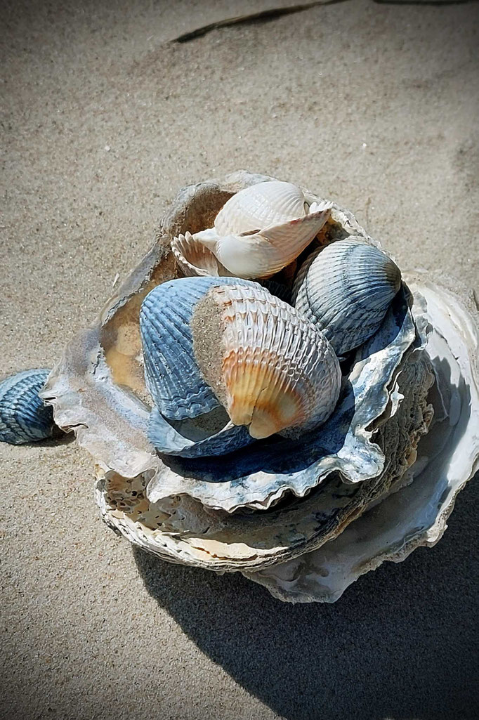 Amrum 2025, Strandfund