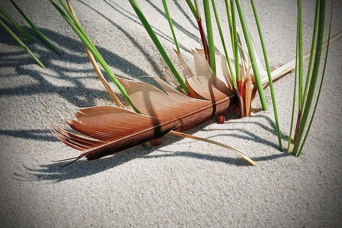 Amrum 2025, Strandfund