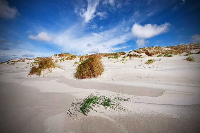 Amrum 2025, Dünenlandschaft bei Wittdün