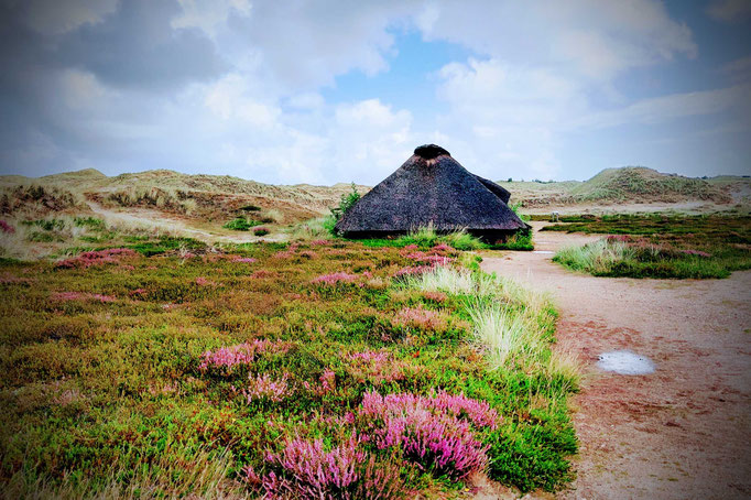 Amrum 2025, eisenzeitl. Haus, 1. Jh. bei Nebel
