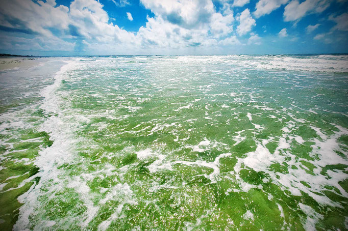 Amrum 2025, Blick auf die Nordsee