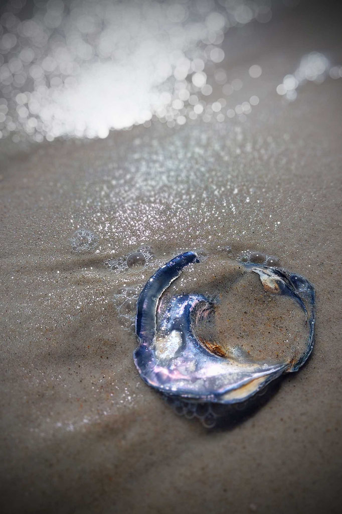 Amrum 2025, Strandfund