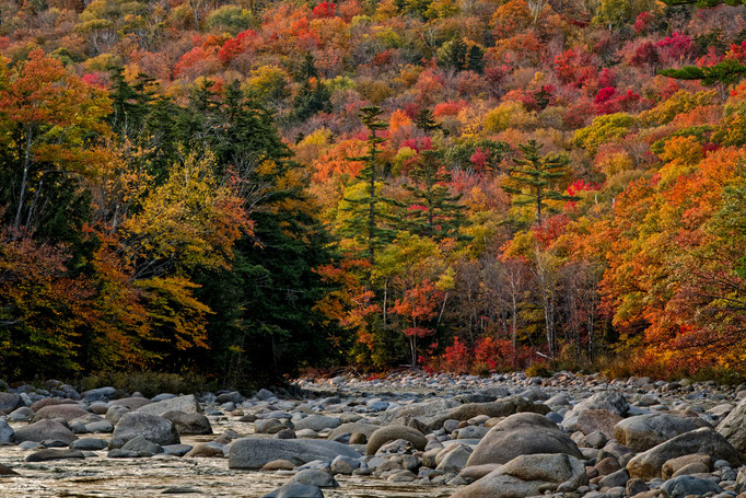 Pemigewasset River_NH Dieter Mehlhaff