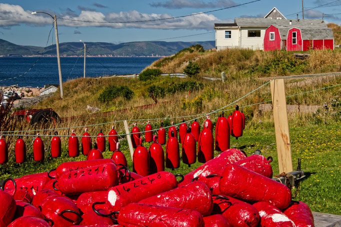 White Point, Cape Breton Island Dieter Mehlhaff
