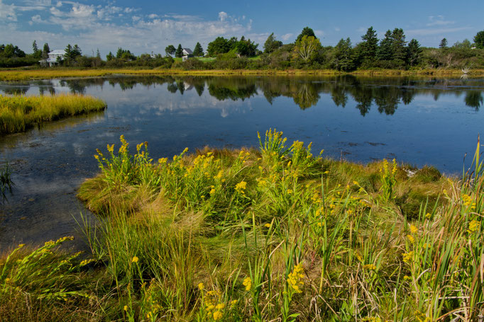 Bras d'Or Lake, Cape Breton Island Dieter Mehlhaff