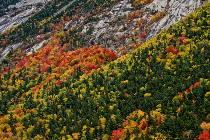 Crawford Notch_NH Dieter Mehlhaff