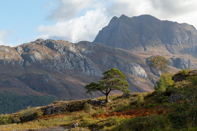 Gairloche und Torridon Jürgen Bester